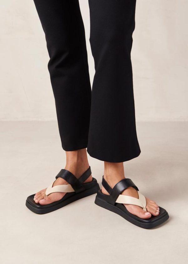 Yestyarn.shop29dc891519 1