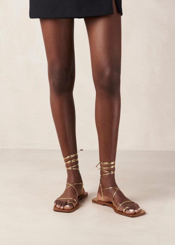 Yestyarn.shop35c766423c 5