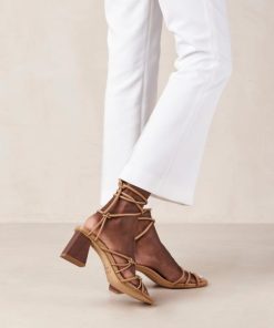 Yestyarn.shop3f6db78e52 4