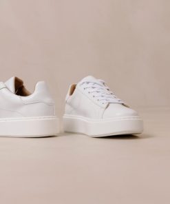 Yestyarn.shopc6b91d5b64 5