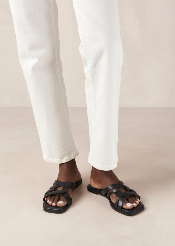 Yestyarn.shopd2100b2436 1