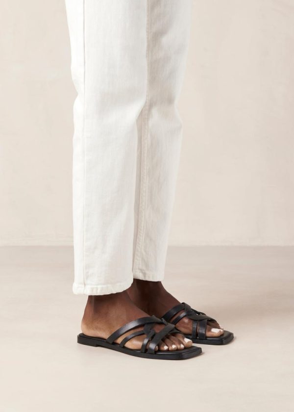 Yestyarn.shopd2100b2436 5